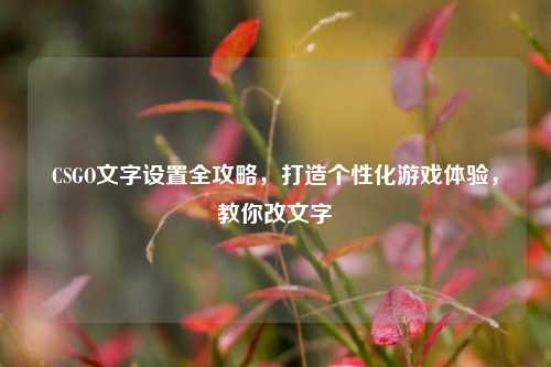 CSGO文字设置全攻略,打造个性化游戏体验,教你改文字