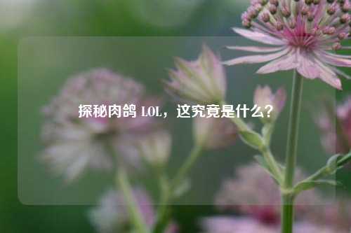 探秘肉鸽 LOL,这究竟是什么?