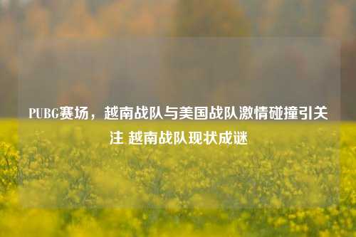 PUBG赛场,越南战队与美国战队激情碰撞引关注 越南战队现状成谜