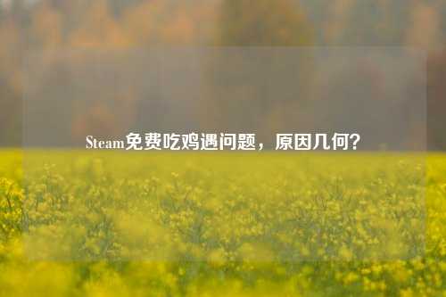 Steam免费吃鸡遇问题,原因几何?
