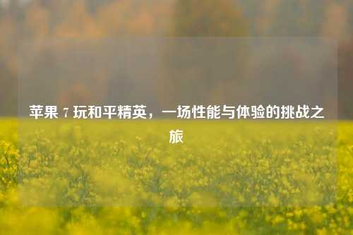苹果 7 玩和平精英，一场性能与体验的挑战之旅
