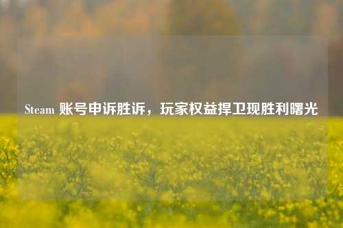 Steam 账号申诉胜诉,玩家权益捍卫现胜利曙光