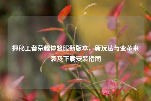 探秘王者荣耀体验服新版本,新玩法与变革来袭及下载安装指南