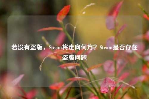 若没有盗版,Steam将走向何方?Steam是否存在盗版问题