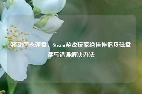 移动固态硬盘,Steam游戏玩家绝佳伴侣及磁盘读写错误解决办法