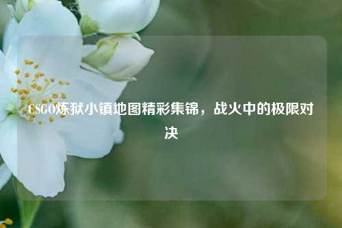 CSGO炼狱小镇地图精彩集锦,战火中的极限对决