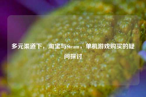 多元渠道下,淘宝与Steam,单机游戏购买的疑问探讨