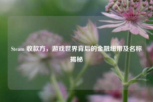 Steam 收款方,游戏世界背后的金融纽带及名称揭秘