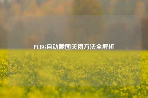 PUBG自动截图关闭方法全解析