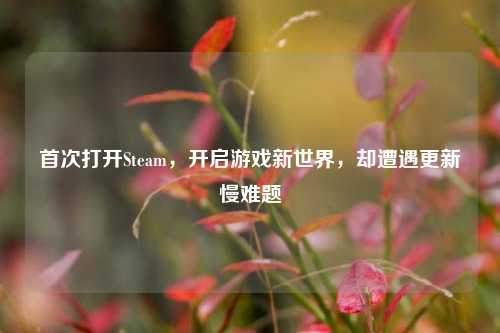 首次打开Steam,开启游戏新世界,却遭遇更新慢难题