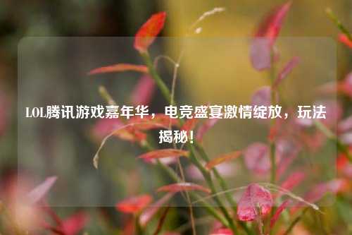 LOL腾讯游戏嘉年华,电竞盛宴激情绽放,玩法揭秘!