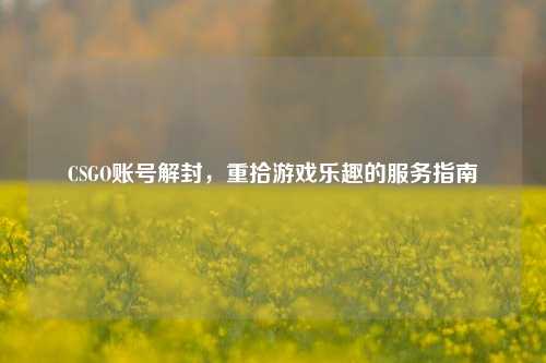 CSGO账号解封,重拾游戏乐趣的服务指南