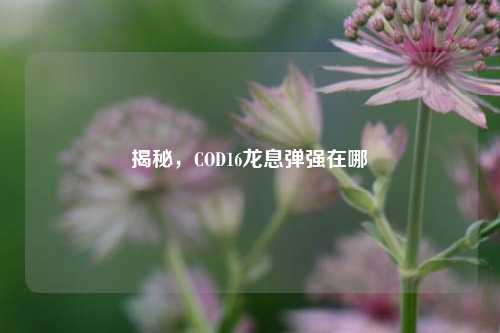 揭秘,COD16龙息弹强在哪