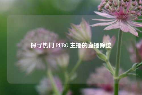 探寻热门 PUBG 主播的直播踪迹