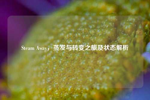 Steam Away,蒸发与转变之旅及状态解析