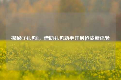 探秘CF礼包B,借助礼包助手开启枪战新体验