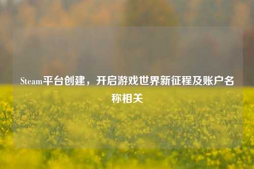Steam平台创建,开启游戏世界新征程及账户名称相关
