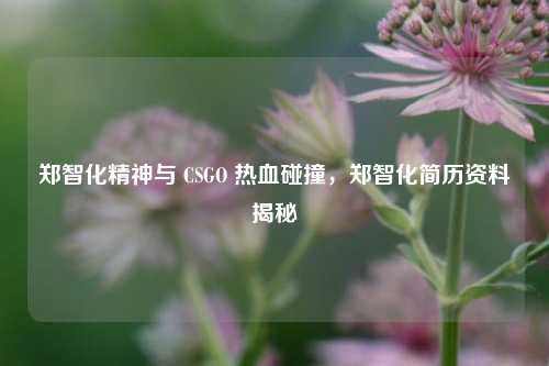 郑智化精神与 CSGO 热血碰撞,郑智化简历资料揭秘