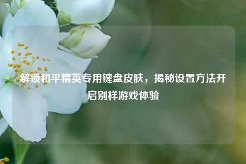 解锁和平精英专用键盘皮肤,揭秘设置方法开启别样游戏体验
