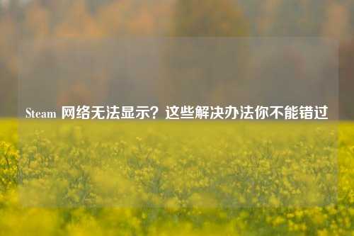 Steam 网络无法显示?这些解决办法你不能错过