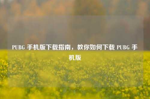 PUBG 手机版下载指南,教你如何下载 PUBG 手机版