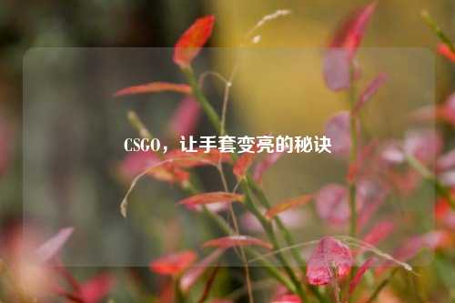 CSGO，让手套变亮的秘诀