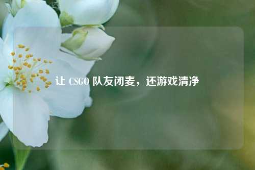 让 CSGO 队友闭麦,还游戏清净