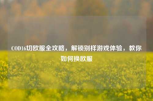 COD16切欧服全攻略,解锁别样游戏体验,教你如何换欧服