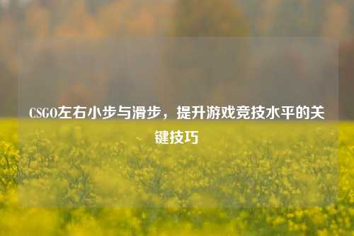 CSGO左右小步与滑步,提升游戏竞技水平的关键技巧
