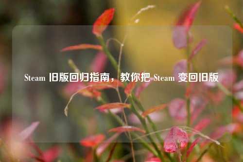 Steam 旧版回归指南,教你把 Steam 变回旧版