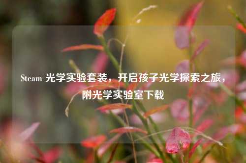 Steam 光学实验套装,开启孩子光学探索之旅,附光学实验室下载