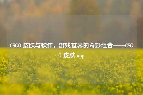 CSGO 皮肤与软件,游戏世界的奇妙组合——CSGO 皮肤 app