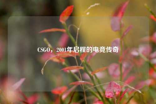 CSGO,2001年启程的电竞传奇