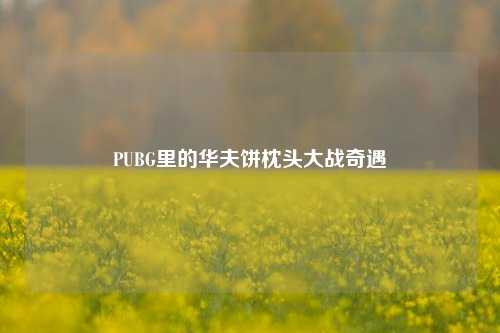 PUBG里的华夫饼枕头大战奇遇