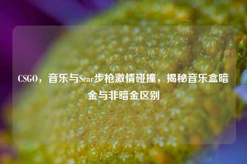 CSGO,音乐与Scar步枪激情碰撞,揭秘音乐盒暗金与非暗金区别