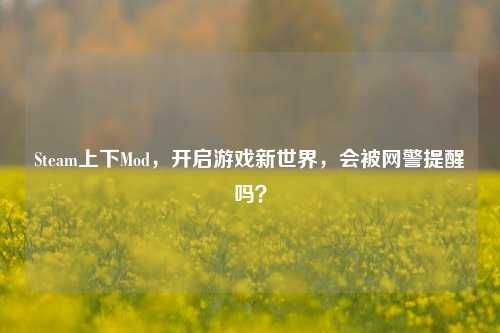 Steam上下Mod，开启游戏新世界，会被网警提醒吗？