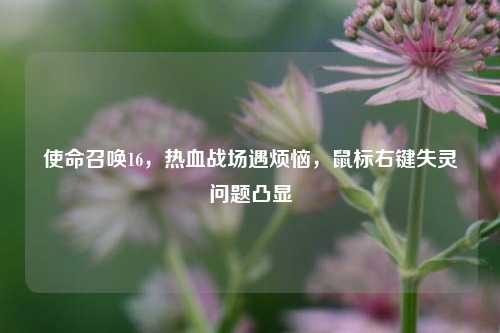 使命召唤16,热血战场遇烦恼,鼠标右键失灵问题凸显
