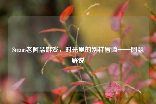Steam老阿瑟游戏,时光里的别样冒险——阿瑟解说