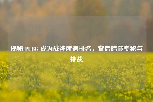 揭秘 PUBG 成为战神所需排名,背后暗藏奥秘与挑战