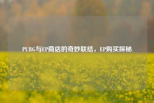 PUBG与EP商店的奇妙联结,EP购买探秘