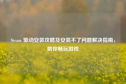 Steam 驱动安装攻略及安装不了问题解决指南,助你畅玩游戏