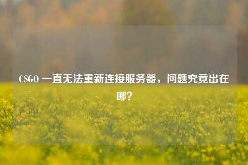 CSGO 一直无法重新连接服务器,问题究竟出在哪?