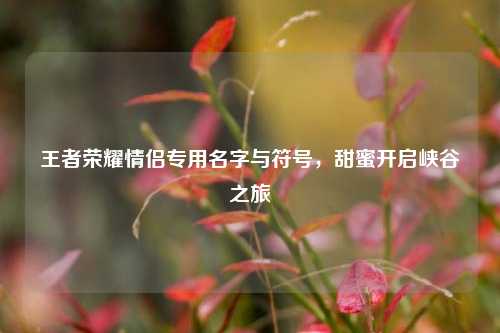 王者荣耀情侣专用名字与符号，甜蜜开启峡谷之旅
