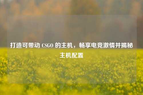 打造可带动 CSGO 的主机,畅享电竞激情并揭秘主机配置
