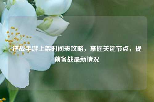 逆战手游上架时间表攻略，掌握关键节点，提前备战最新情况