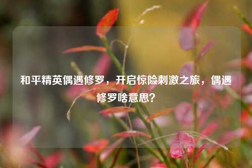 和平精英偶遇修罗,开启惊险刺激之旅,偶遇修罗啥意思?