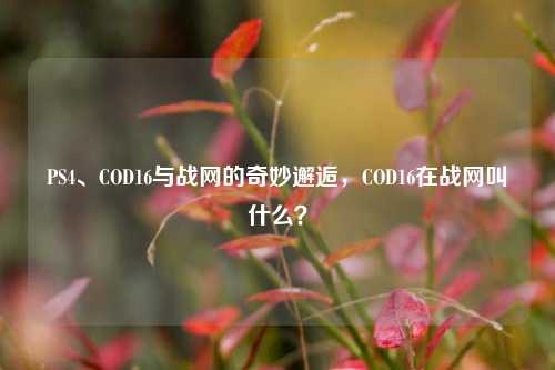 PS4、COD16与战网的奇妙邂逅,COD16在战网叫什么?