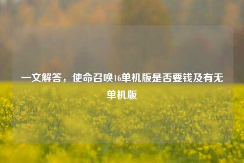 一文解答,使命召唤16单机版是否要钱及有无单机版