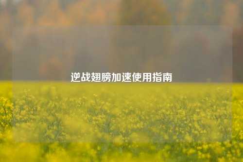 逆战翅膀加速使用指南