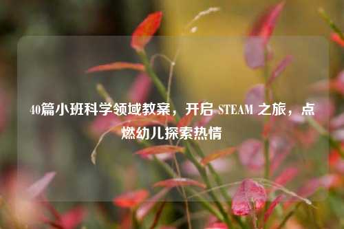 40篇小班科学领域教案,开启 STEAM 之旅,点燃幼儿探索热情